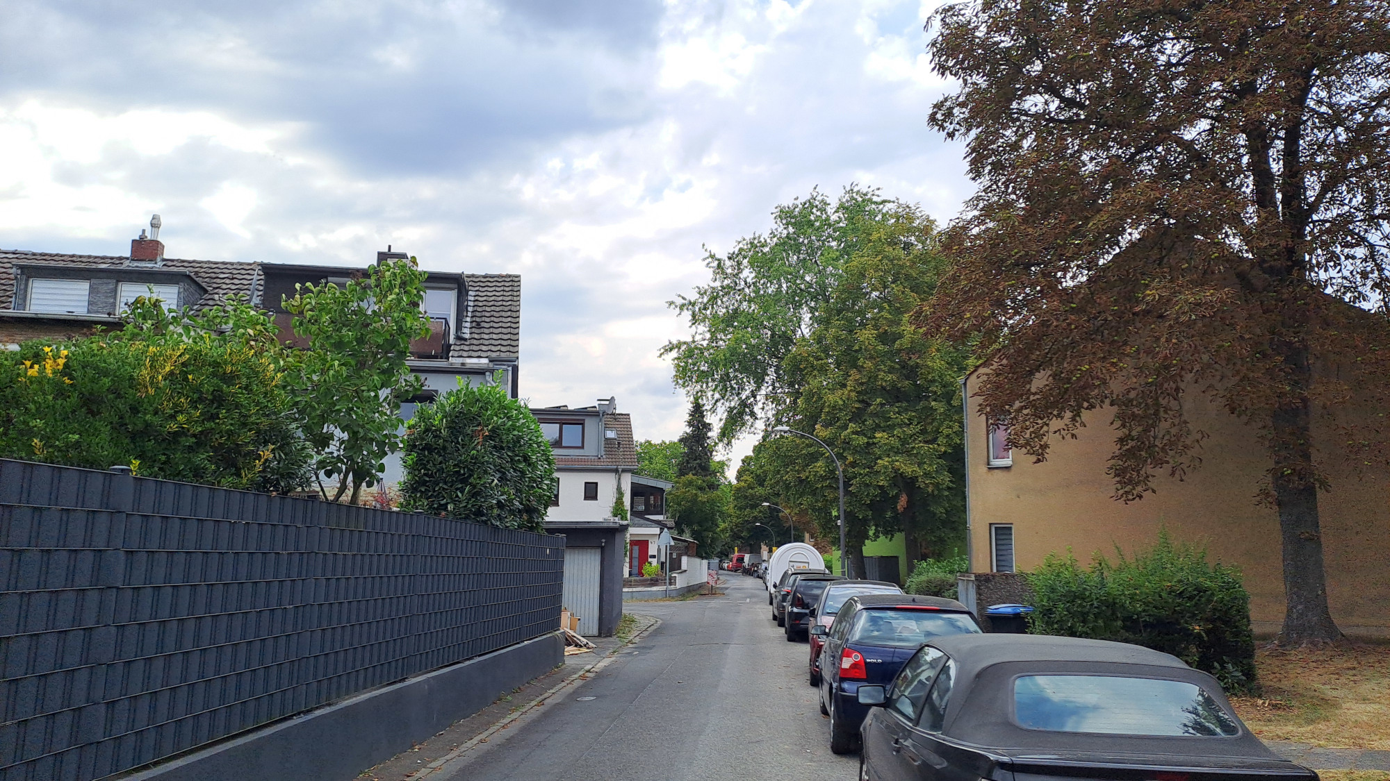 Koeln Duennwald